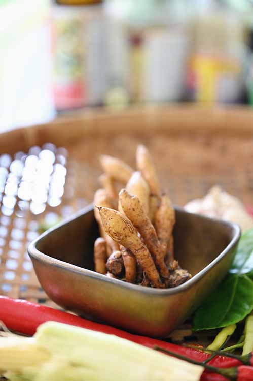Artisan-made ceramic tableware in Singapore