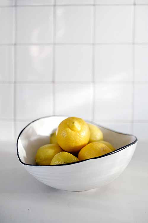 Handmade Ceramic tableware Free-Form Shell Sharing Dish