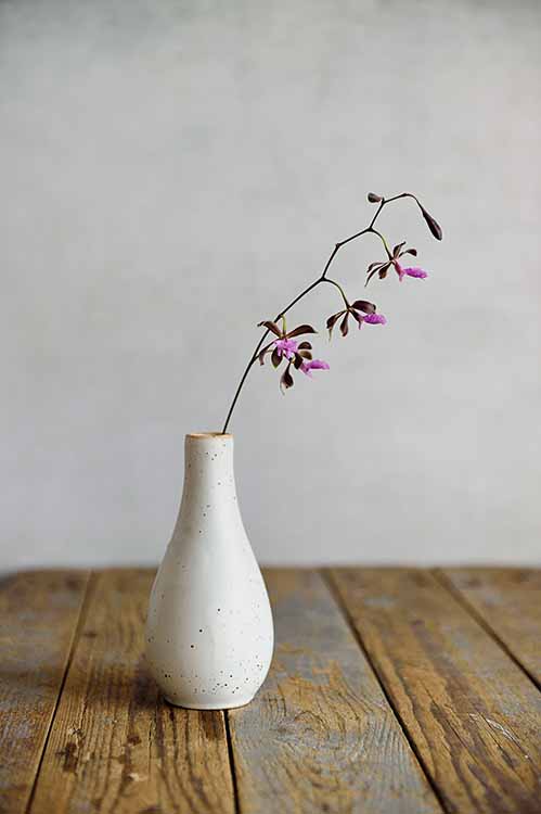 Handcrafted artisanal ceramic tableware