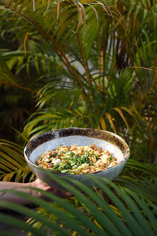 Ceramic dinnerware for Singapore homes