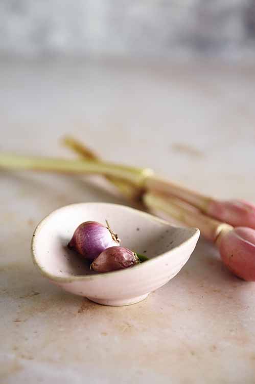 Luxury handmade ceramics in Singapore
